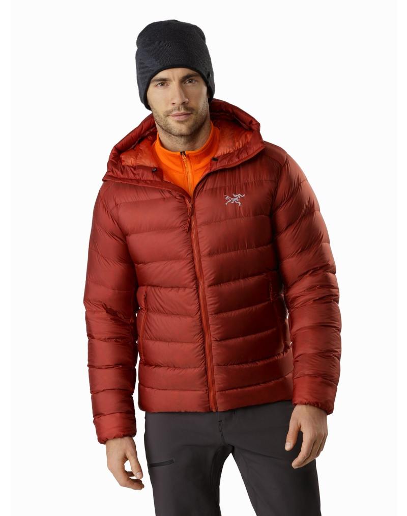 ARC'TERYX】 セリウム SV フーディ メンズ - JACKET-| South Cedar 